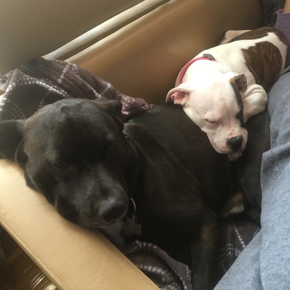 Meet your Poshmark Ambassador, Mads - Picture 5 of 6